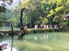 -小七孔景区-六十八级跌水瀑布