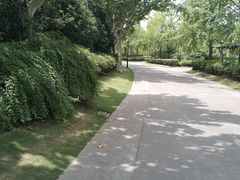 -黄兴公园