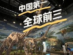 -自贡恐龙博物馆