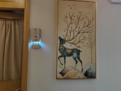 -雅曼妮spa美容养生