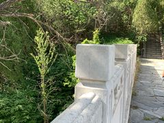 -白水寺森林公园