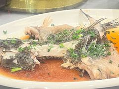 -宋园·金宴浙鲜馆(静安店)