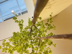 -有猫主题·治愈系猫咖(曾厝垵店)