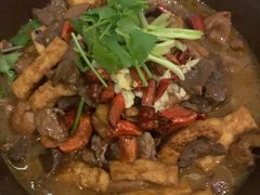 -大鸭梨烤鸭店(花园村店)