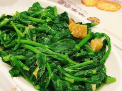 猪油渣炒豆苗-翠华(澳门银河店)