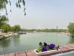 -祥源·阜阳生态乐园