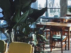 -腾爱熊猫咖啡生活馆(老东门店)