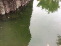 -厦门日月谷温泉渡假村