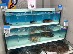 -盒马鲜生(大成店)