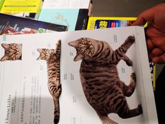 -SISYPHE BOOKS西西弗书店(龙湖滨江天街店)