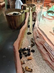 -Zoolung Zoolung动物主题公园(海信广场店)