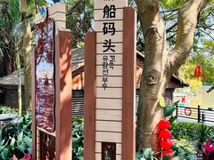 -大湾区中央湿地公园