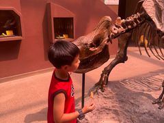 -陕西自然博物馆