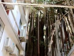 -鼓浪屿风景名胜区-英国领事馆旧址