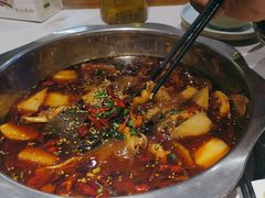-川囧肥肠鸡·美蛙鱼锅(平高广场店)