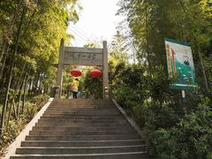 -紫金山山顶公园