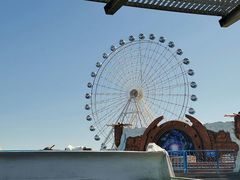 -秦皇岛乐岛海洋王国