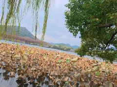 -西湖文化广场
