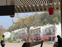 -千年银杏谷文化旅游区
