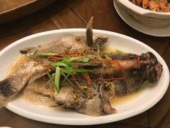 东星斑鱼-廣味潮鲜·一品潮滋味(五道口店)