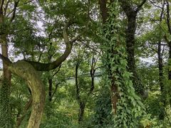 -北仑森林植物园