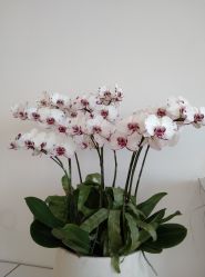 -颜蕾医美·黄金微针·水光·玻尿酸·超声炮·抗衰中心
