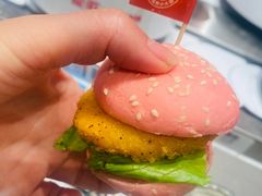 -龍歌自助小火锅(雨花台江南虹悦城店)