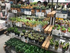 -鹿岛生活(熙地港店)