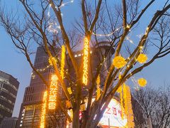 -运河游船(武林门码头)