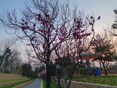 -长辛店二七公园