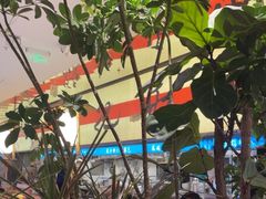 -桂满陇·蟹黄小笼汤包(中山公园店)