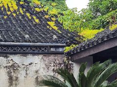 -绍兴鲁迅故里·沈园景区