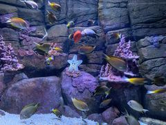 -成都浩海立方海洋公园