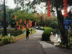 -晓港公园