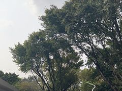 -人民公园(罗湖区)