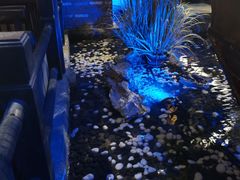 -绿茶餐厅(城西银泰城店)