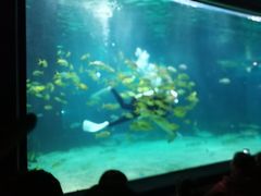 -石家庄海洋公园
