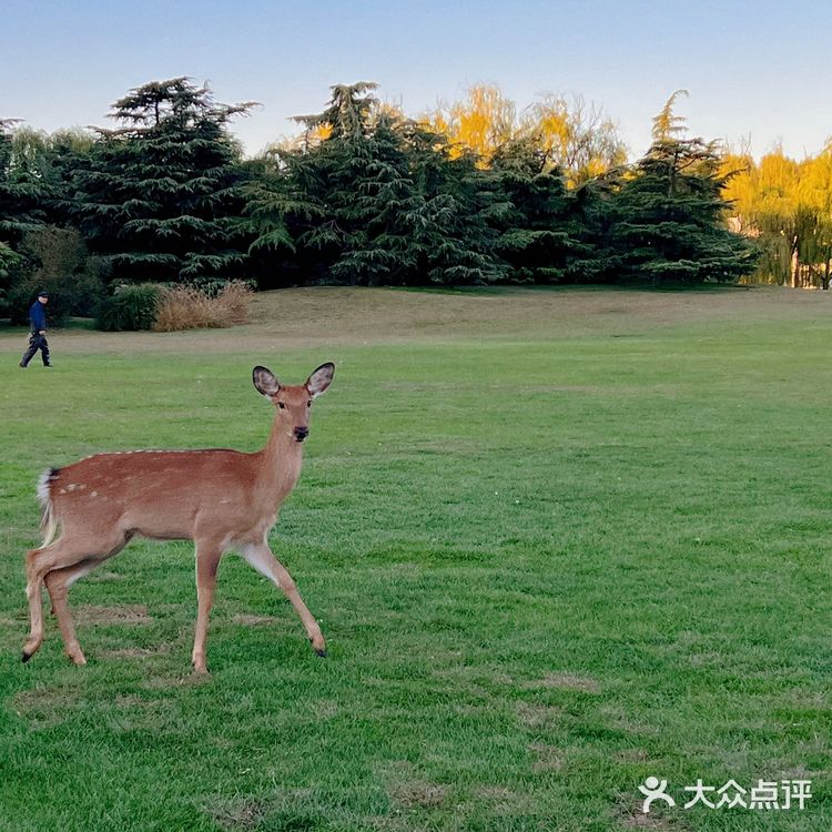 闹市中的仙境 零距离动物世界