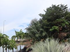 -新加坡摩天观景轮