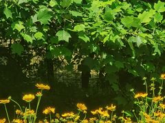 -西湖风景区-江洋畈生态公园