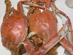 -北塘海鲜·天津菜(大光明桥旗舰店)