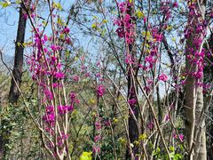 -天台山赤城山景区