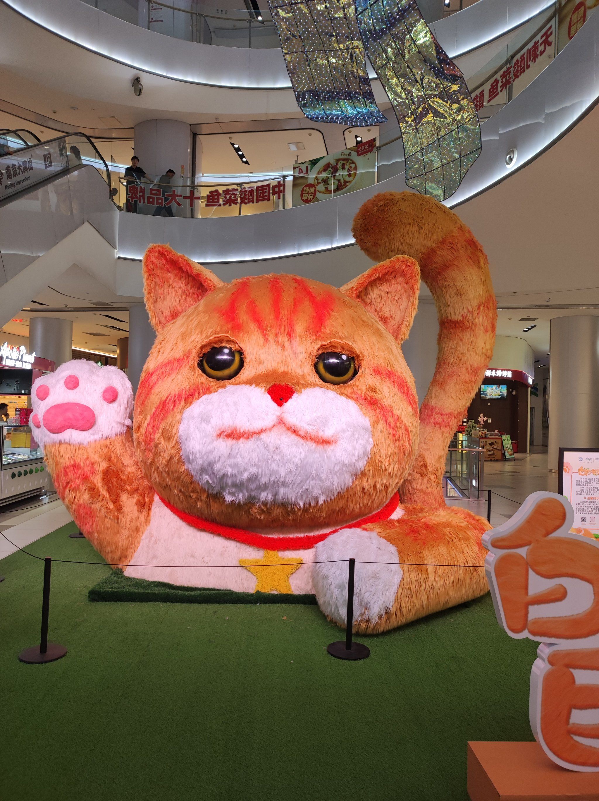 这座城 
很久没来这边了,发现又换了新的布景,这次的🐱好大一只