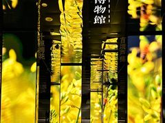 -中国湿地博物馆