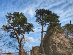-大连天门山国家森林公园