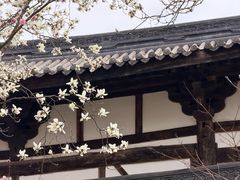 -窦圌山风景区