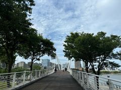 -映月湖中央公园