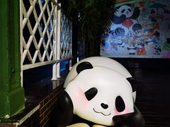 -轩客会(熊猫书店)