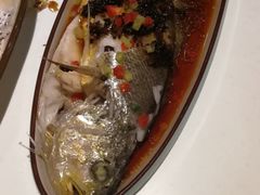 -火齐潮汕砂锅粥(五道口店)