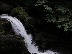 -大围山国家森林公园